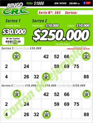 Bingo CRC - Sortea 19/12/24 - Imagen 3